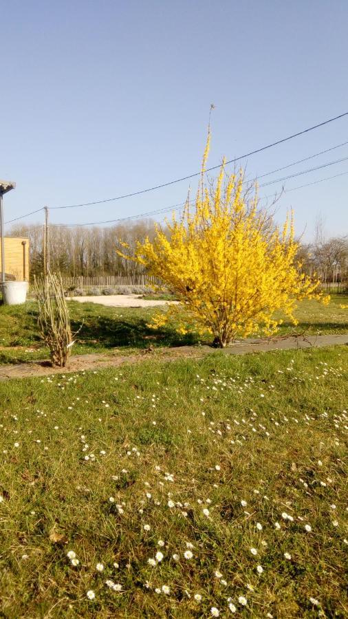 Villa La Halte Villeret Exterior foto